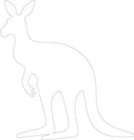 röd känguru översikt silhuett vektor