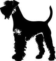airedale terrier svart silhuett vektor