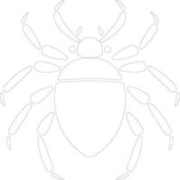 säng insekt översikt silhuett vektor