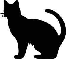 Burmilla Katze schwarz Silhouette vektor