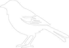 Vogel Gliederung Silhouette vektor