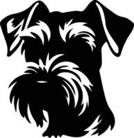 Miniatur Schnauzer Silhouette Porträt vektor