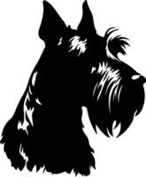 Riese Schnauzer schwarz Silhouette vektor