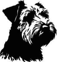 Sanft beschichtet Weizen Terrier Silhouette Porträt vektor