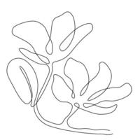 magnolia blomma blomning översikt. hand ritade. svart och vit ClipArt. vektor stock illustration. isolerat på en vit bakgrund.