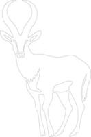antilop översikt silhuett vektor