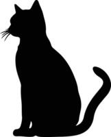 Burmilla Katze schwarz Silhouette vektor