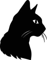 europäisch kurzes Haar Katze Silhouette Porträt vektor