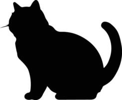 exotisch kurzes Haar Katze schwarz Silhouette vektor