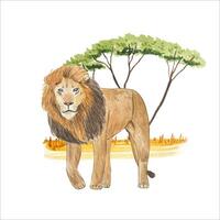 Aquarell Komposition mit Löwe im Savanne. tropisch Design. vektor