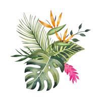 hand dragen bukett med tropisk löv och blommor, vattenfärg vektor