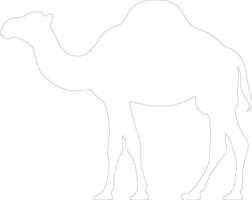 kamel översikt silhuett vektor