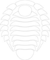 trilobit översikt silhuett vektor