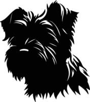 affenpinscher schwarz Silhouette vektor