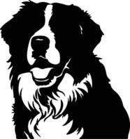 Berner Berg Hund schwarz Silhouette vektor