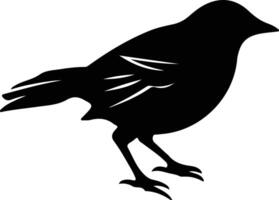 Amsel Silhouette Porträt vektor