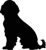 irisch Wasser Spaniel schwarz Silhouette vektor