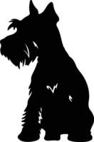 Miniatur Schnauzer schwarz Silhouette vektor