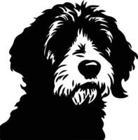 Spanisch Wasser Hund Silhouette Porträt vektor