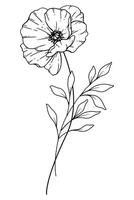 Mohn Linie Kunst. Mohn Gliederung Illustration. August Geburt Monat Blume. Mohn Gliederung isoliert auf Weiß. Hand gemalt Linie Kunst botanisch Illustration. vektor