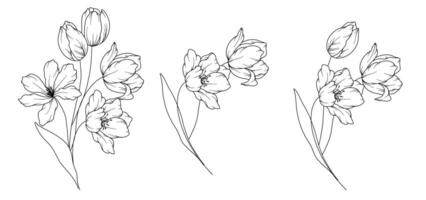 tulpaner linje teckning. svart och vit blommig buketter. blomma färg sida. blommig linje konst. bra linje tulpaner illustration. hand dragen blommor. botanisk färg. bröllop inbjudan blommor vektor