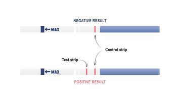 vektor positiv och negativ graviditet testa. instruktioner för de graviditet testa.