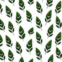 Illustration von ein Muster von Grün Blätter auf ein Weiß Hintergrund. vektor