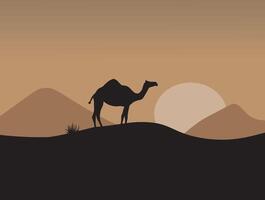 kamel i de öken- på solnedgång vektor