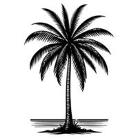 Palme oder Kokosnuss tropisch Baum Silhouette, Hand Zeichnung schwarz Linie Gekritzel skizzieren Stil Vektor Illustration