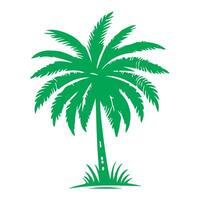 Palme oder Kokosnuss Baum tropisch Grün Blätter. Hand Zeichnung Gekritzel skizzieren Stil Vektor Illustration