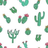 naturlig sömlös mönster med hand dragen grön kaktus på vit bakgrund. blomning mexikansk öken- växter. botanisk vektor illustration för bakgrund, omslag papper, textil- skriva ut, tapet.