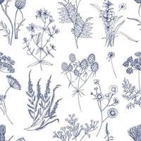 botanisch nahtlos Muster mit Wiese Kräuter, blühen Pflanzen und Blühen wild Blumen Hand gezeichnet mit Blau Linien auf Weiß Hintergrund. natürlich Vektor Illustration im Jahrgang Stil zum Stoff drucken.