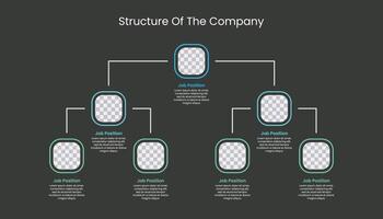 korporativ organisatorisch Struktur Diagramm Infografik. vektor