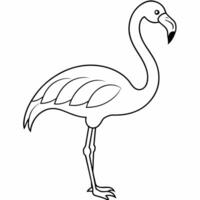 flamingo svart och vit vektor illustration för färg bok