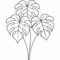 Monstera schwarz und Weiß Vektor Illustration zum Färbung Buch