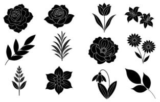 Sammlung von Silhouette Blume und Blatt Elemente vektor