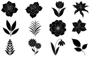 Sammlung von Silhouette Blume und Blatt Elemente vektor