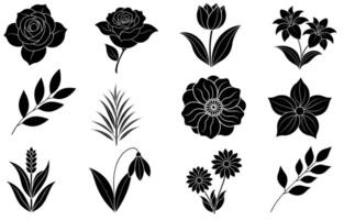 Sammlung von Silhouette Blume und Blatt Elemente vektor