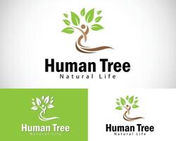 Mensch Baum Logo kreativ Natur Design Konzept Kräuter- Yoga vektor