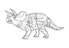 Vektor Triceratop Zeichnung schwarz Streifen auf ein Weiß Hintergrund