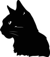 amerikanisch Drahthaar Katze Silhouette Porträt vektor