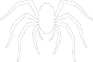 Spindel översikt silhuett vektor
