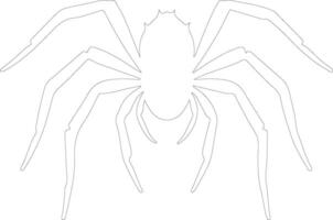 Spinne Gliederung Silhouette vektor