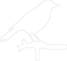 fågel översikt silhuett vektor