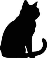 britisch kurzes Haar Katze schwarz Silhouette vektor