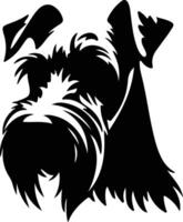 Standard Schnauzer Silhouette Porträt vektor