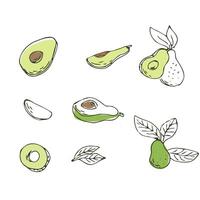 einstellen von Avocado Früchte Gliederung Hand gezeichnet Tinte Illustration. Vektor Illustration isoliert. können benutzt zum Verpackung, Verpackung, Poster, Startseite Design, Textil- und Hintergrund zum kosmetisch und Essen vegan Produkte