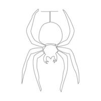 Vektor im einer kontinuierlich Linie Zeichnung von Spinne Illustration minimal Design editierbar Schlaganfall