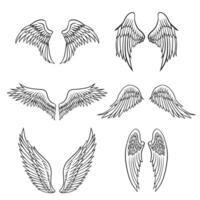 de vinge teckning för tatuering eller dekoration begrepp. vektor