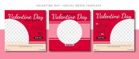 valentine kärlek dag rosa röd social media posta mall design, händelse befordran baner vektor